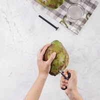 Abridor/Furador de Coco Tramontina Utilita Cinza com Lâmina em aço Inox e cabo em Polipropileno