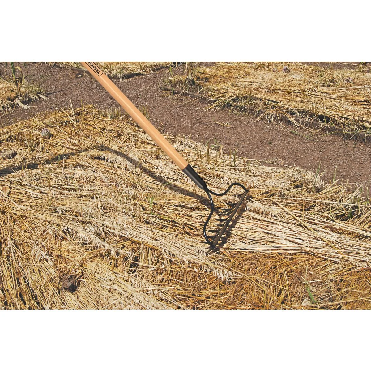 Ancinho com Haste Metálico Leve Tramontina 14 Dentes com Cabo de Madeira 145 cm