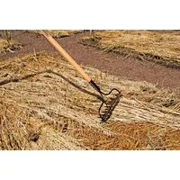 Ancinho com Haste Metálico Leve Tramontina 14 Dentes com Cabo de Madeira 145 cm