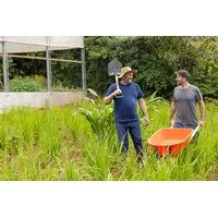 Carrinho de Mão Tramontina com Caçamba Funda Plástica Laranja 55 L, Braço de Madeira e Pneu com Câmara