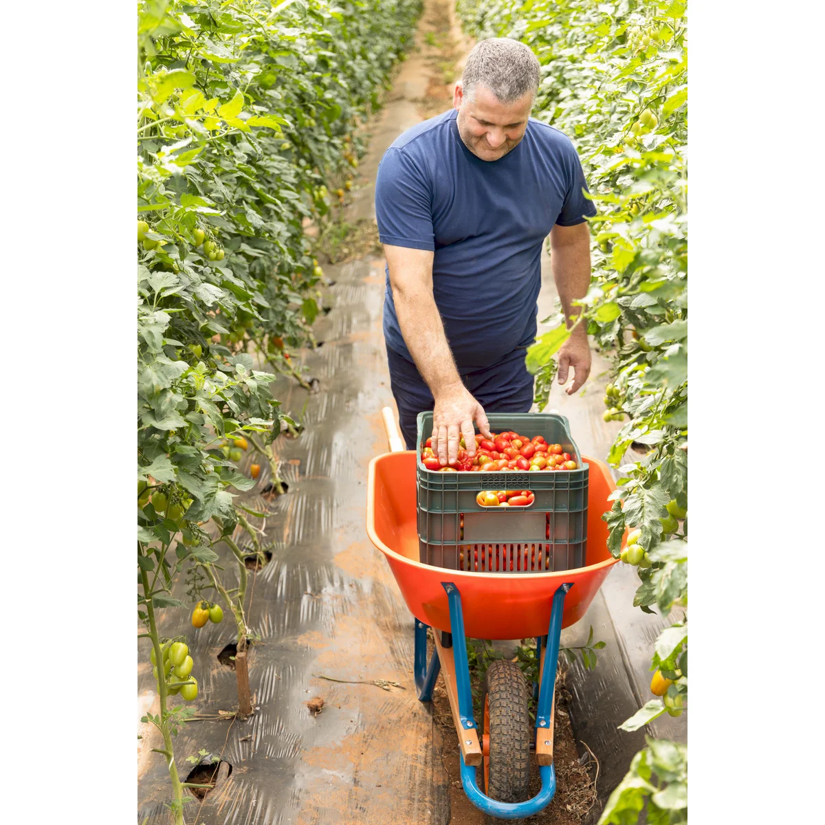 Carrinho de Mão Tramontina com Caçamba Funda Plástica Laranja 55 L, Braço de Madeira e Pneu com Câmara