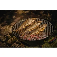 Churrasqueira a Carvão TCP-560L Tramontina em Aço Esmaltado com Grelha e Utensílios em Aço Inox