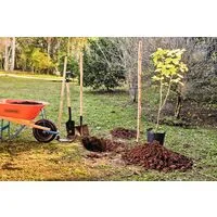 Carrinho de Mão Tramontina com Caçamba Funda Plástica Laranja 55 L, Braço de Madeira e Pneu com Câmara