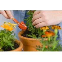 Conjunto para Jardinagem Tramontina Peças Metálicas com Cabo de Madeira 4 Peças