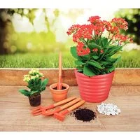 Conjunto para Jardinagem Tramontina Peças Metálicas com Cabo de Madeira 4 Peças