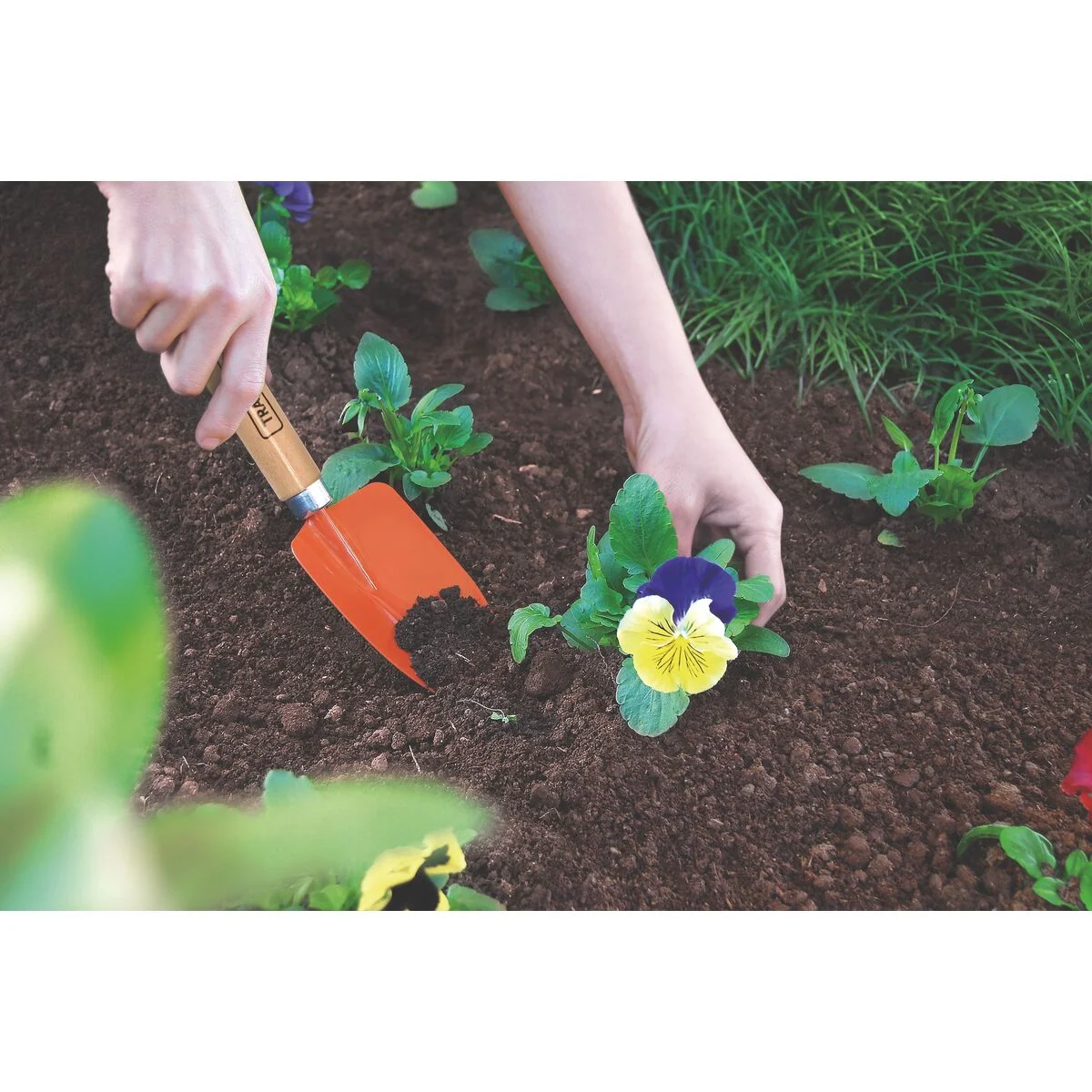 Pazinha Estreita Metálica para Jardinagem Tramontina com Cabo de Madeira