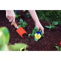 Pazinha Estreita Metálica para Jardinagem Tramontina com Cabo de Madeira
