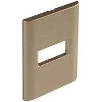Placa 1 Posto Horizontal Tramontina Giz com Suporte Ouro Metalizado