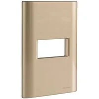Placa 1 Posto Horizontal Tramontina Giz com Suporte Ouro Metalizado