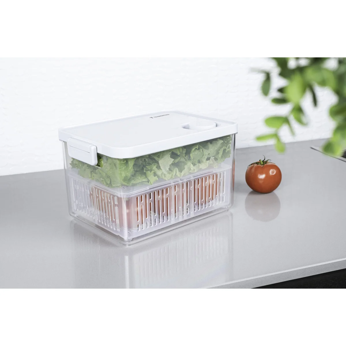 Pote Organizador de Geladeira Tramontina Organizzare com Controle de Umidade 6,2 L