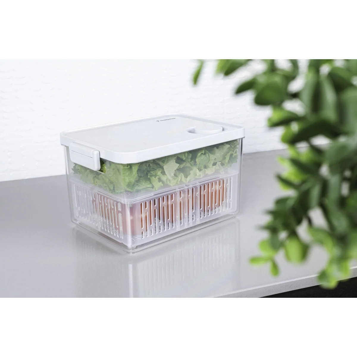 Pote Organizador de Geladeira Tramontina Organizzare com Controle de Umidade 6,2 L
