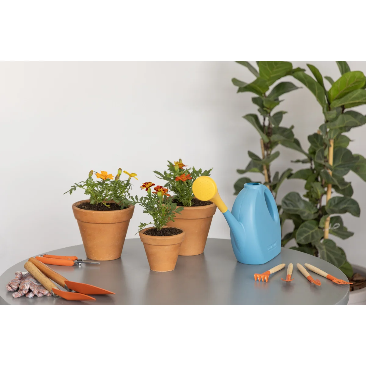 Regador para Jardim Tramontina em Plástico Azul 2 L