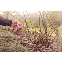 Tesoura de Poda Tramontina com Lâmina Metálica e Cabo Plástico