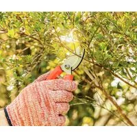 Tesoura de Poda Tramontina com Lâmina Metálica e Cabo Plástico